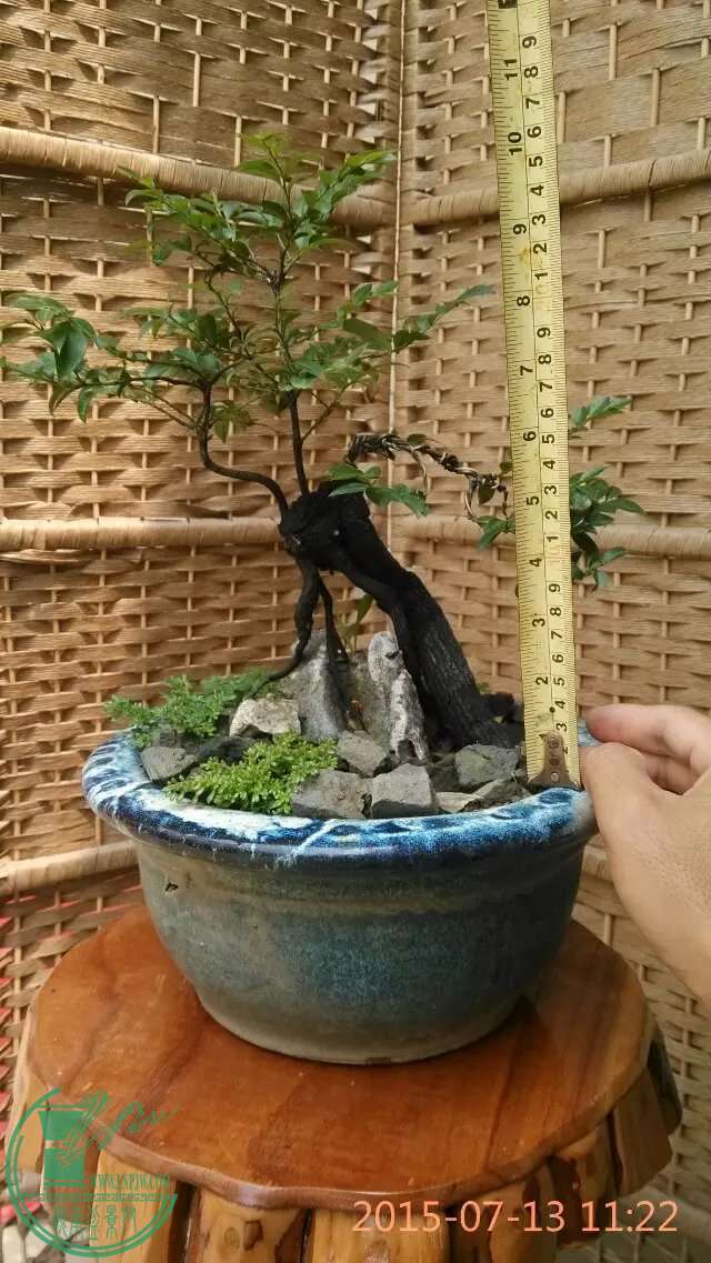 100