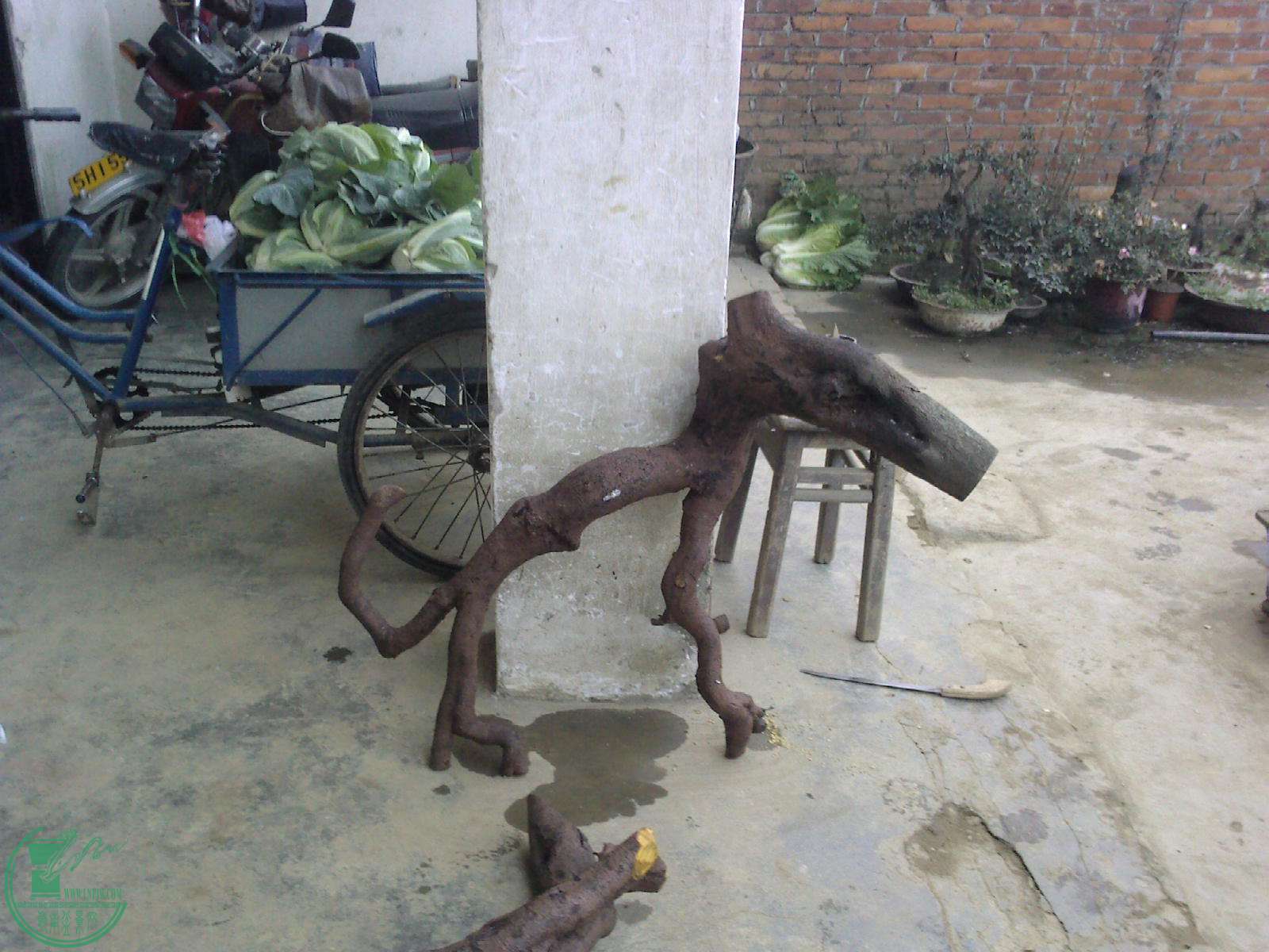 20131211173451.jpg