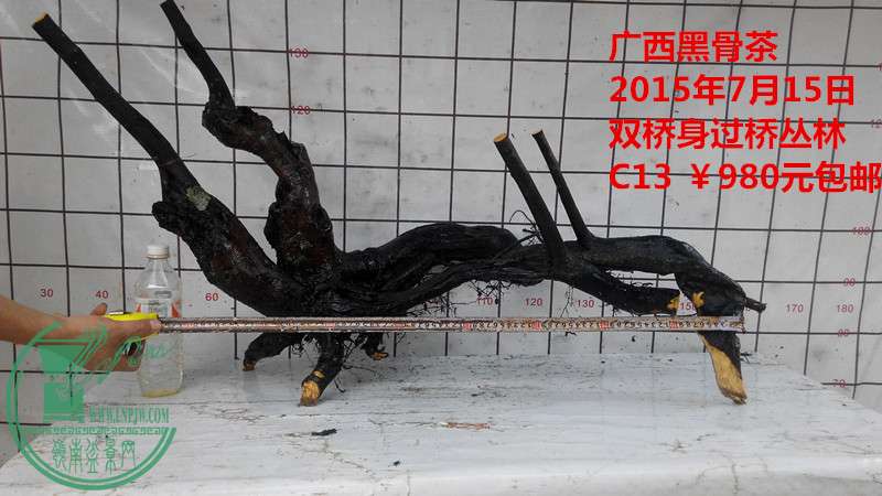 IMG_20150715_151017_.jpg