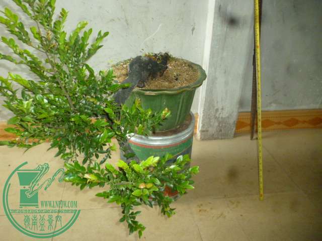 P1140406.JPG