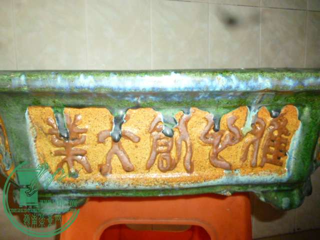 P1140442.JPG