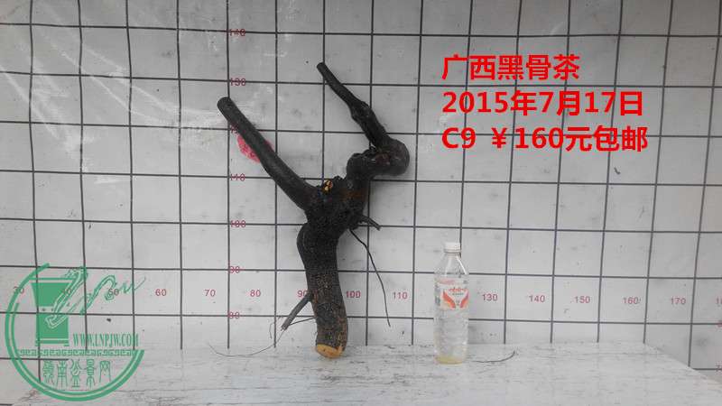 IMG_20150717_175644_.jpg
