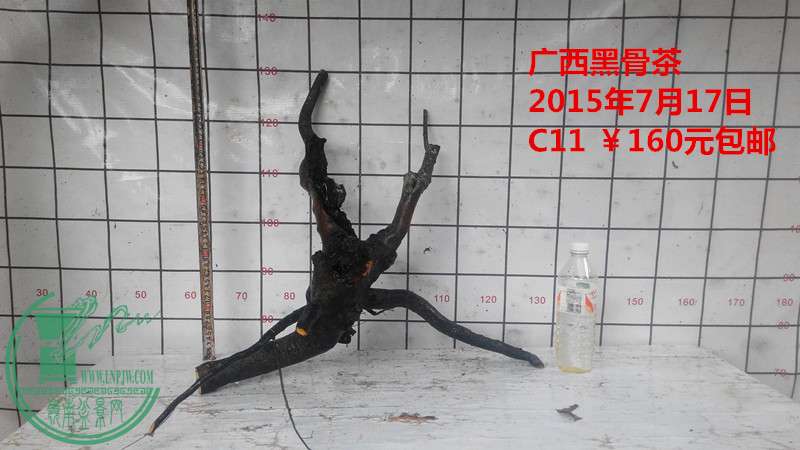 IMG_20150717_180104_.jpg