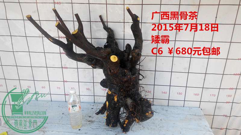 IMG_20150718_162222_.jpg
