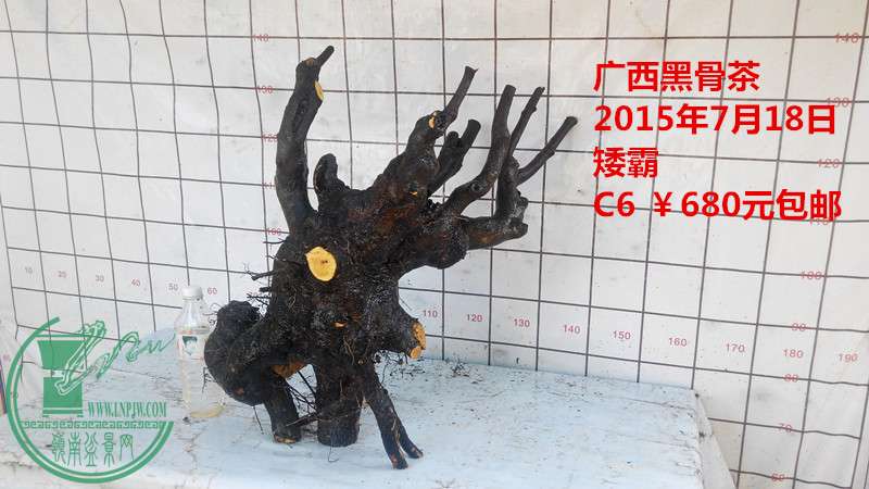 IMG_20150718_162452_.jpg