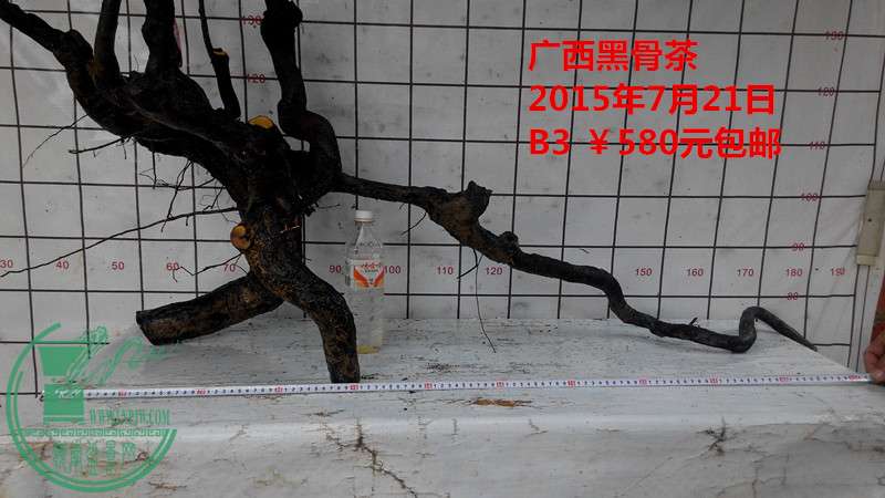IMG_20150721_151730_.jpg