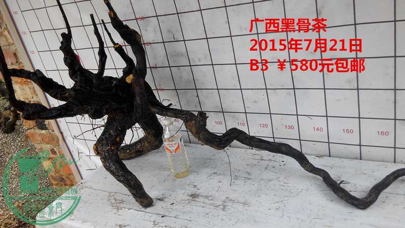 IMG_20150721_151800_.jpg