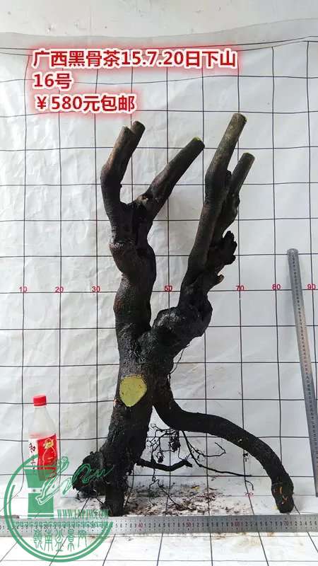 psb (88).jpg
