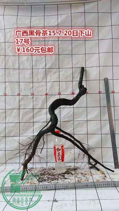 psb (89).jpg