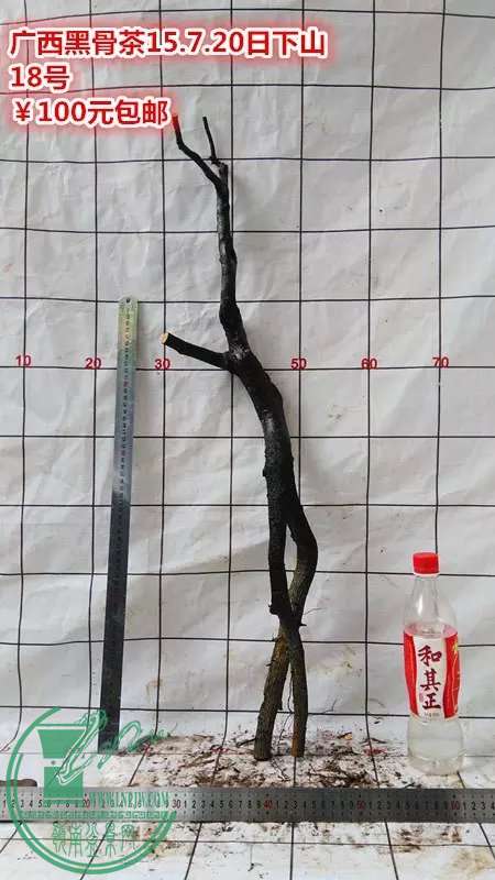 psb (92).jpg