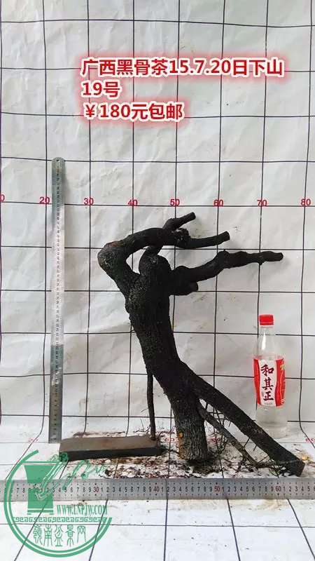 psb (93).jpg