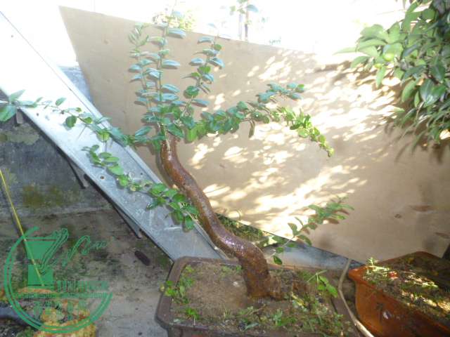 P1140598.JPG