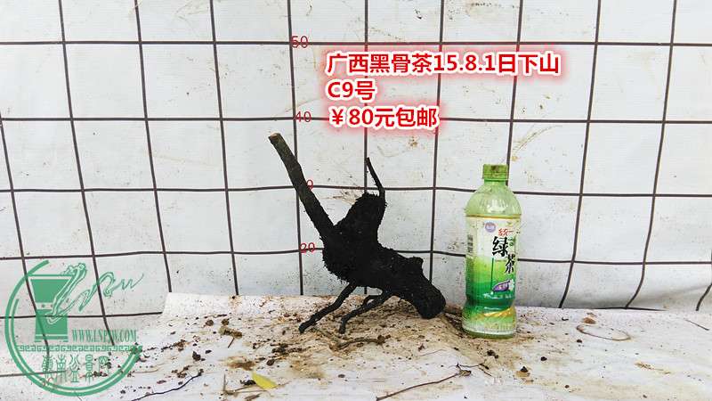 IMG_20150801_124512_.jpg