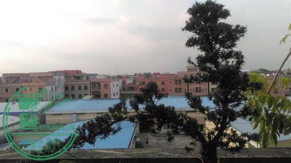 IMAG0638.jpg