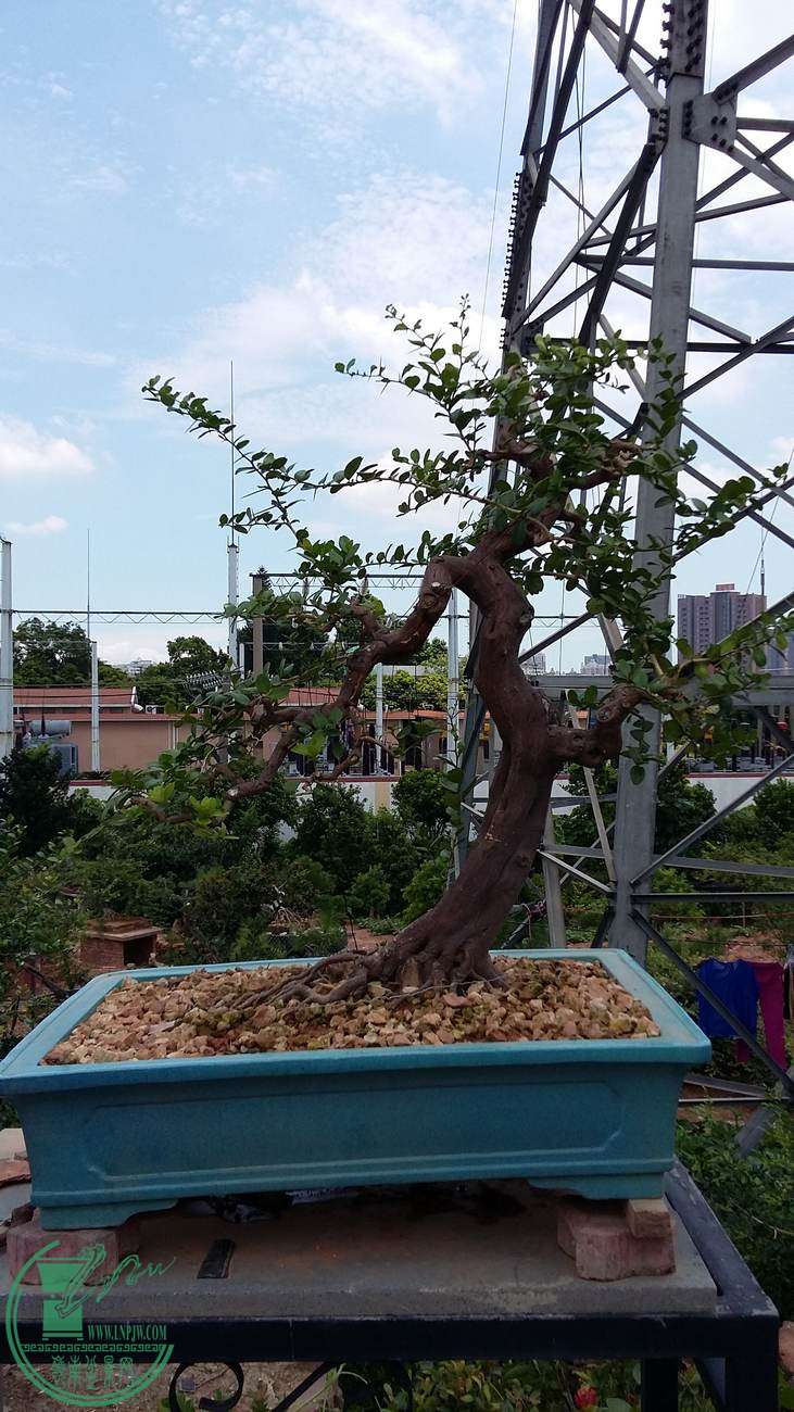 20150731_121739.jpg