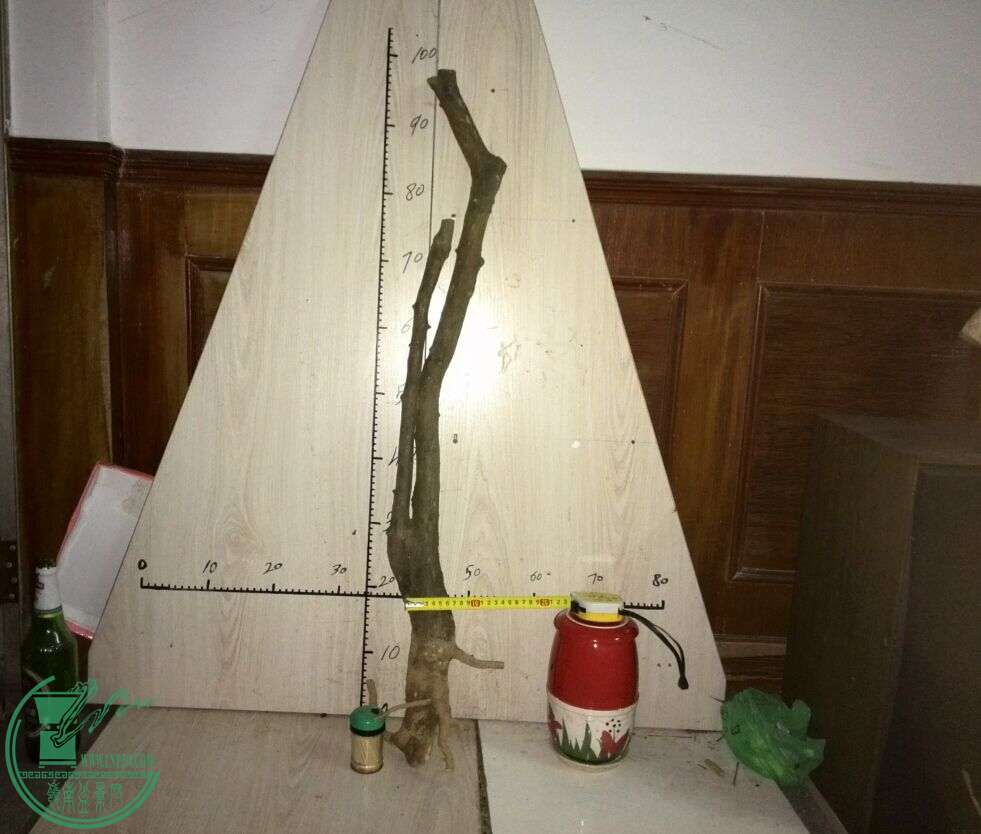 1150Ԫ