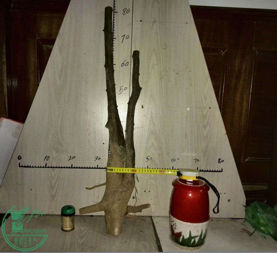 4200Ԫ