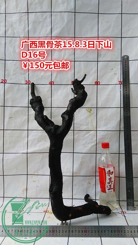 IMG_20150803_142012_.jpg