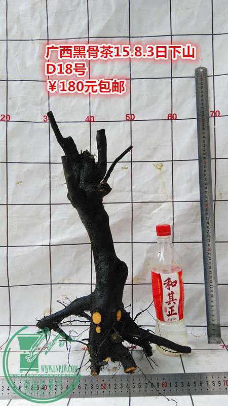 IMG_20150803_142307_.jpg