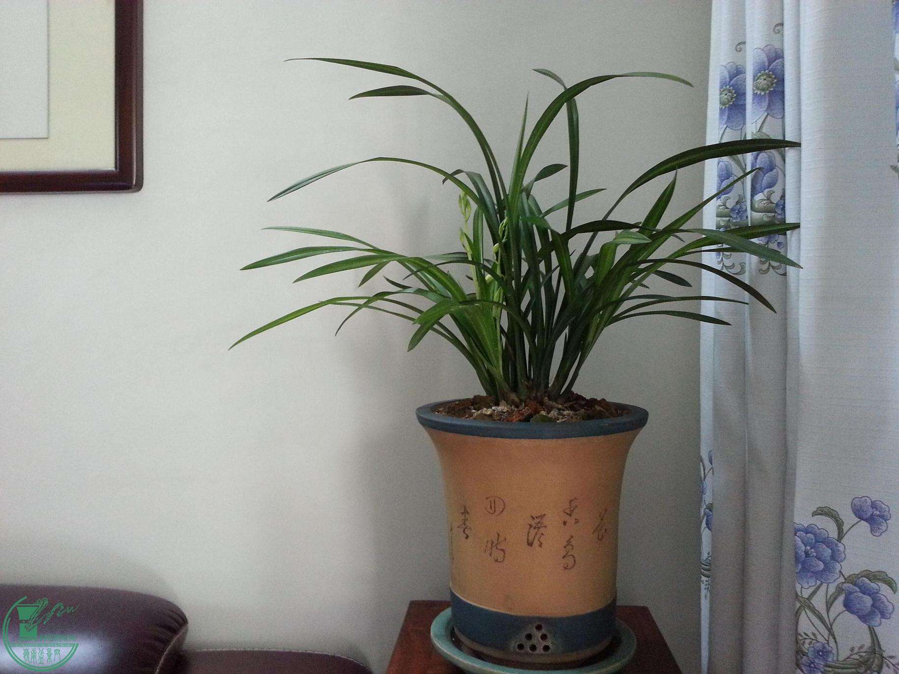 QQͼƬ20150804152054.jpg