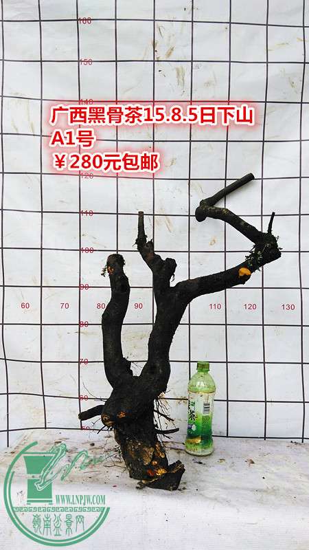 IMG_20150805_130612_.jpg