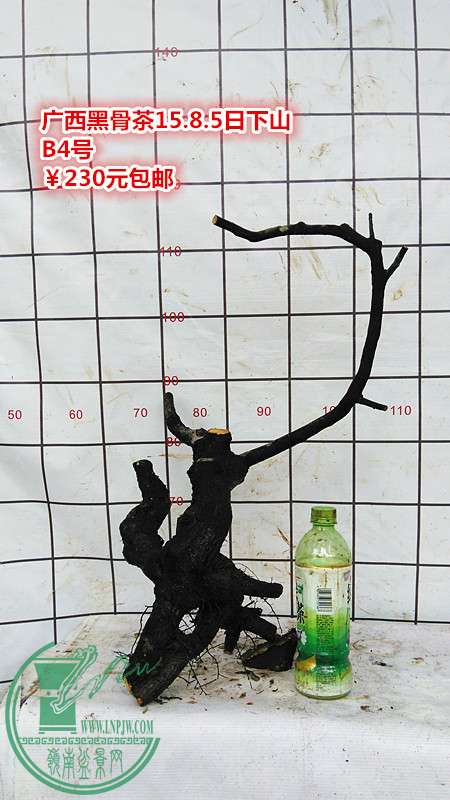 IMG_20150805_131301_.jpg