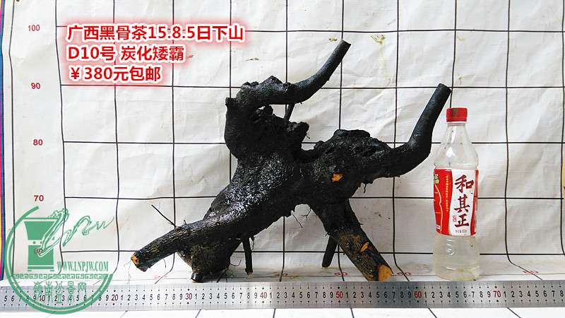 IMG_20150805_172419_.jpg