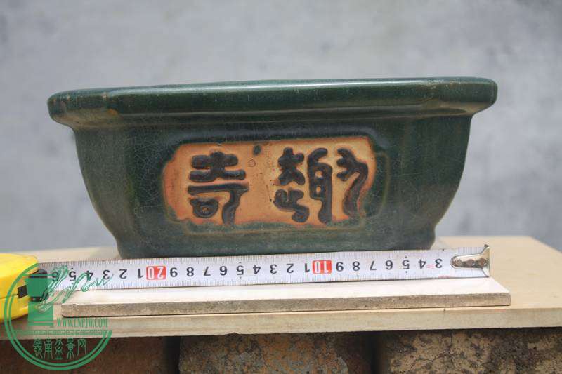 Ƭ20131026ۺ 3668.jpg