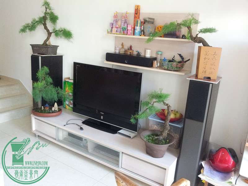 20150729_082818_.jpg
