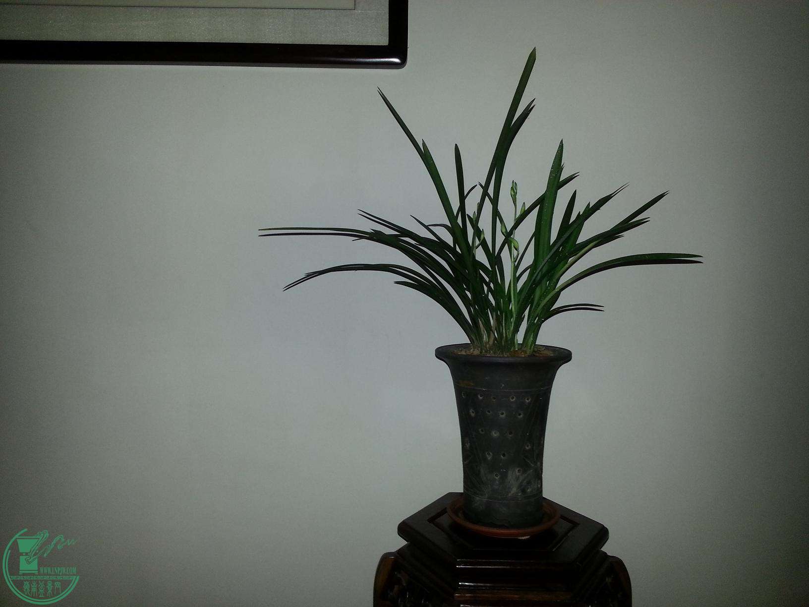 ½ļ (2)20150806_125201.jpg