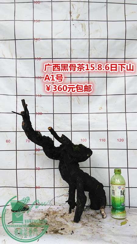 IMG_20150806_124813_.jpg