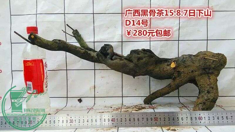 QQͼƬ20150810142441.jpg