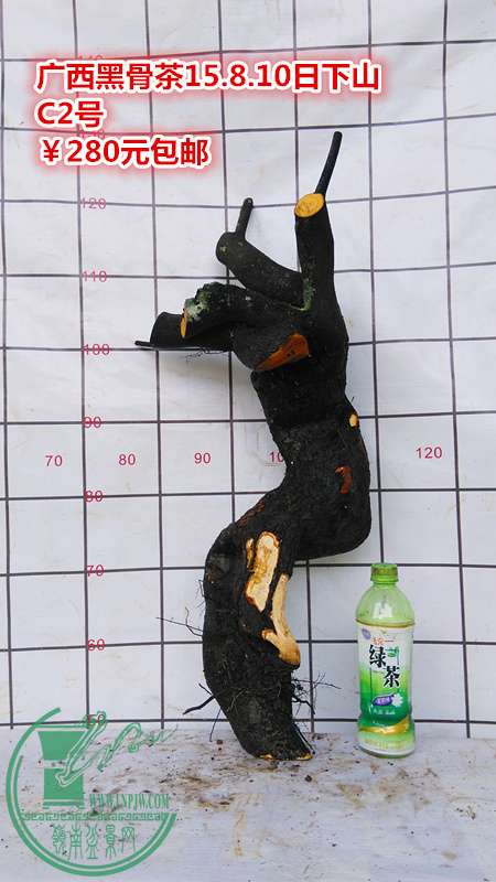 IMG_20150810_111715_.jpg