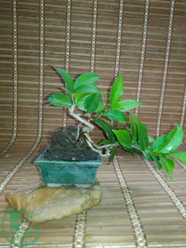 QQͼƬ20150812093629.jpg
