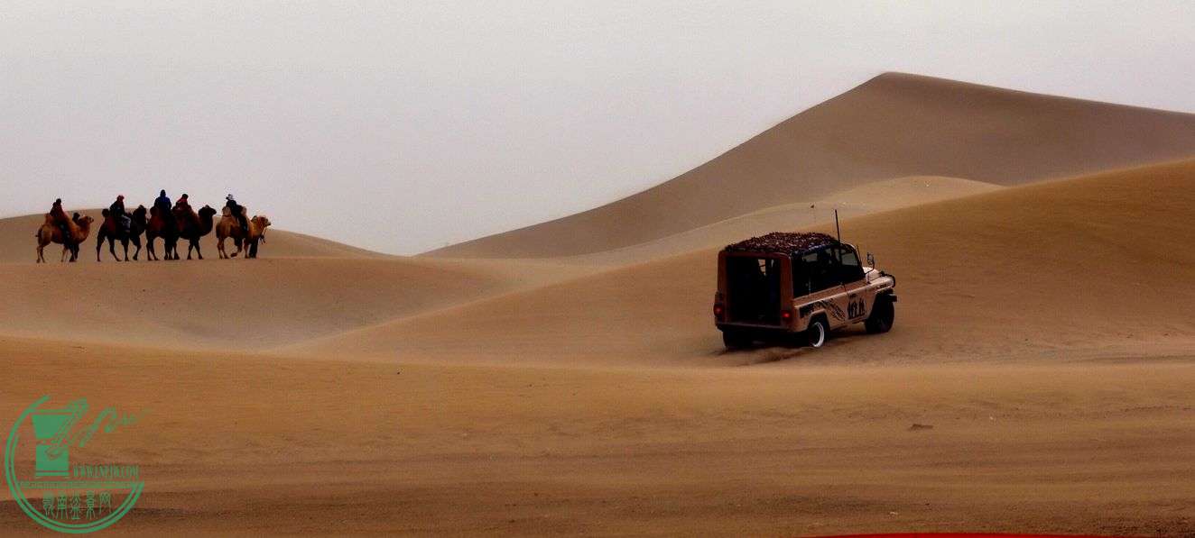 ع _CSC0553_.jpg