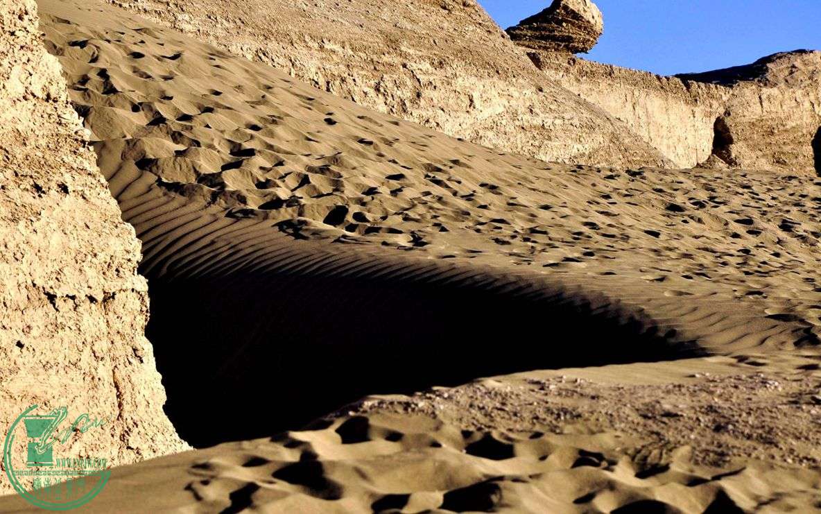 ع _DSC0714_.jpg