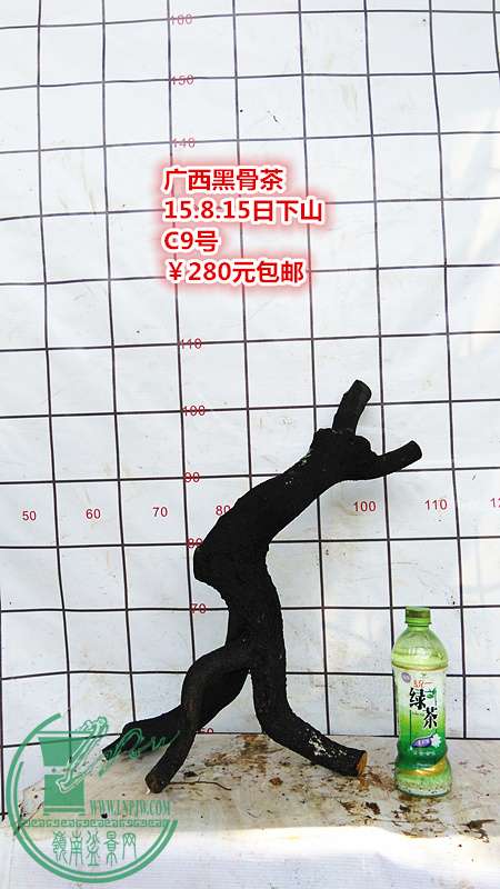 IMG_20150815_115003_.jpg