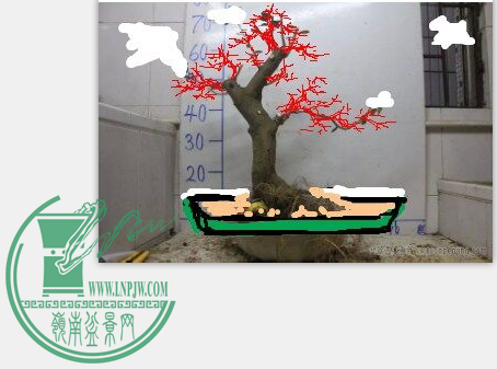 QQͼƬ20150815153445.png