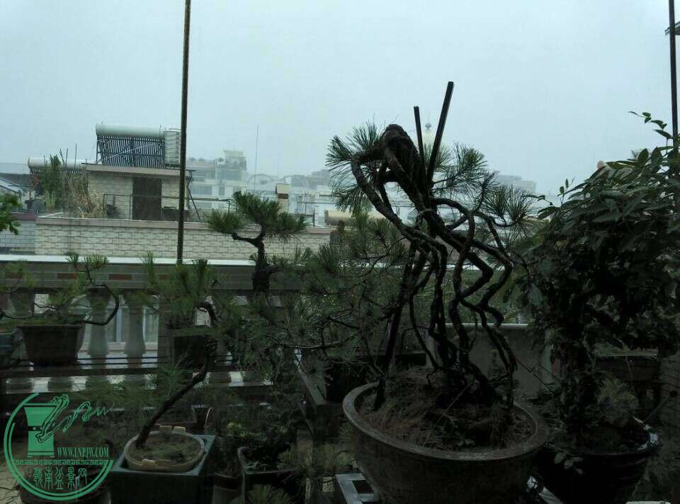 QQͼƬ20150815163825.jpg