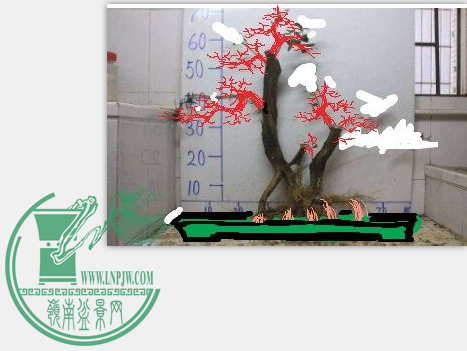 QQͼƬ20150816180020.png