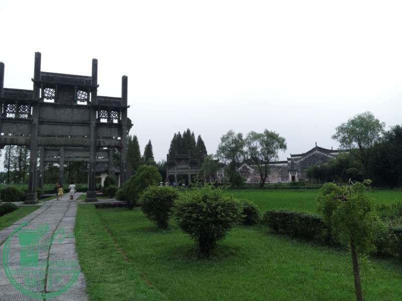 IMG_20150816_165134.jpg