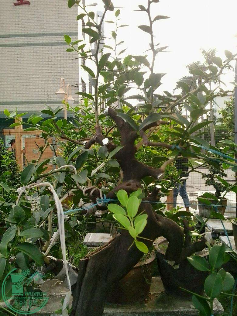 20150612174349.jpg