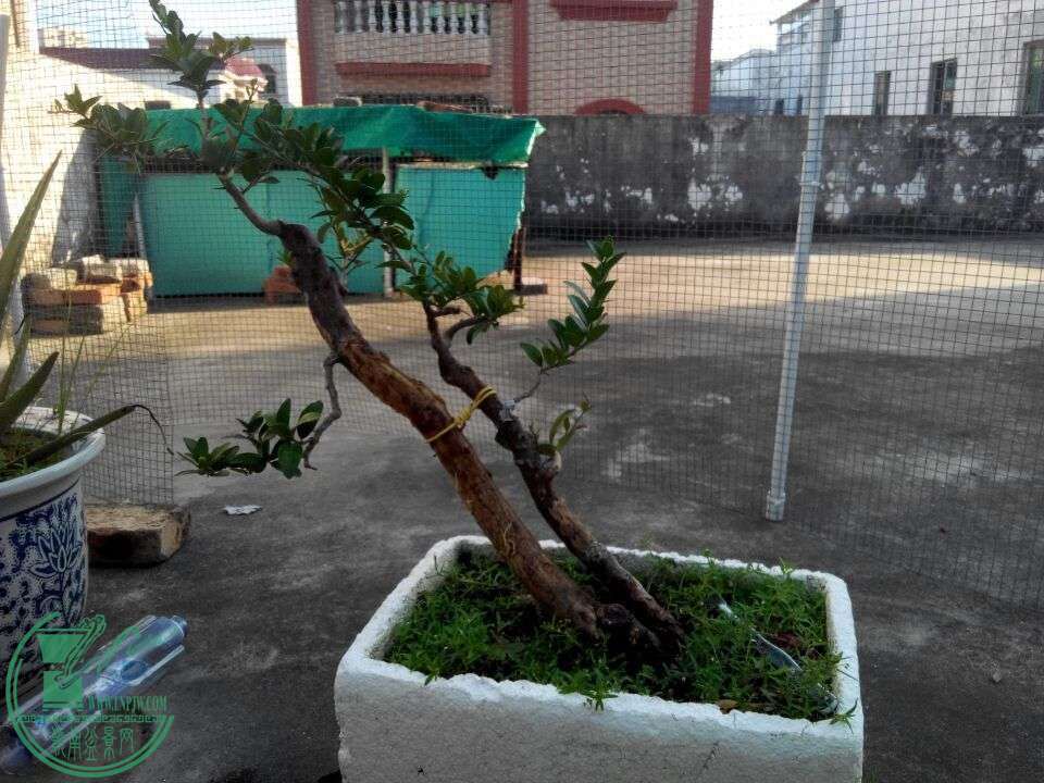 QQͼƬ20150817153319.jpg