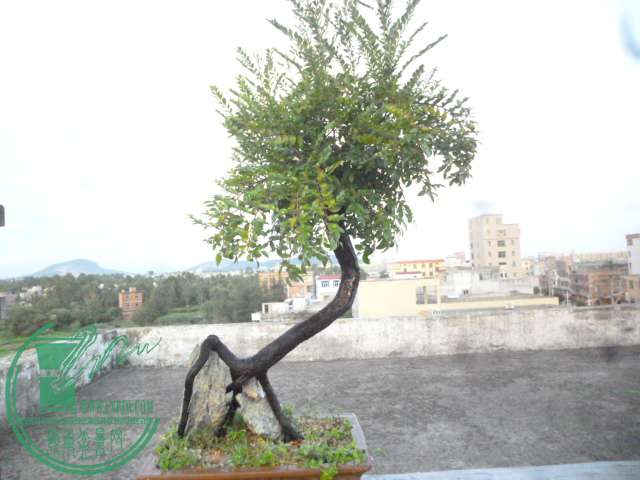 P1140716.JPG