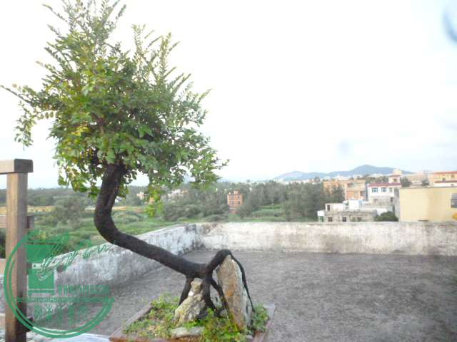 P1140721.JPG