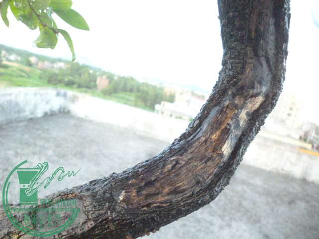 P1140719.JPG