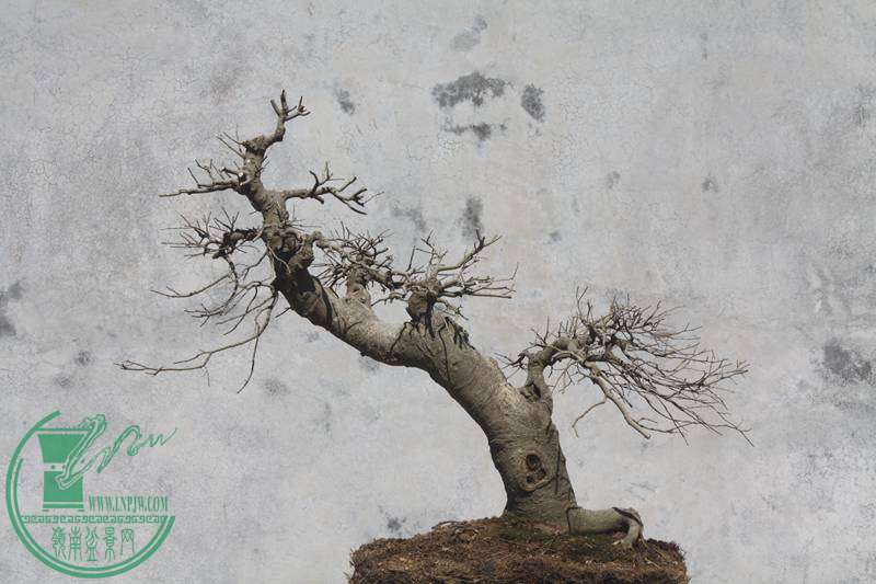 Ƭ20131026ۺ 3755.jpg