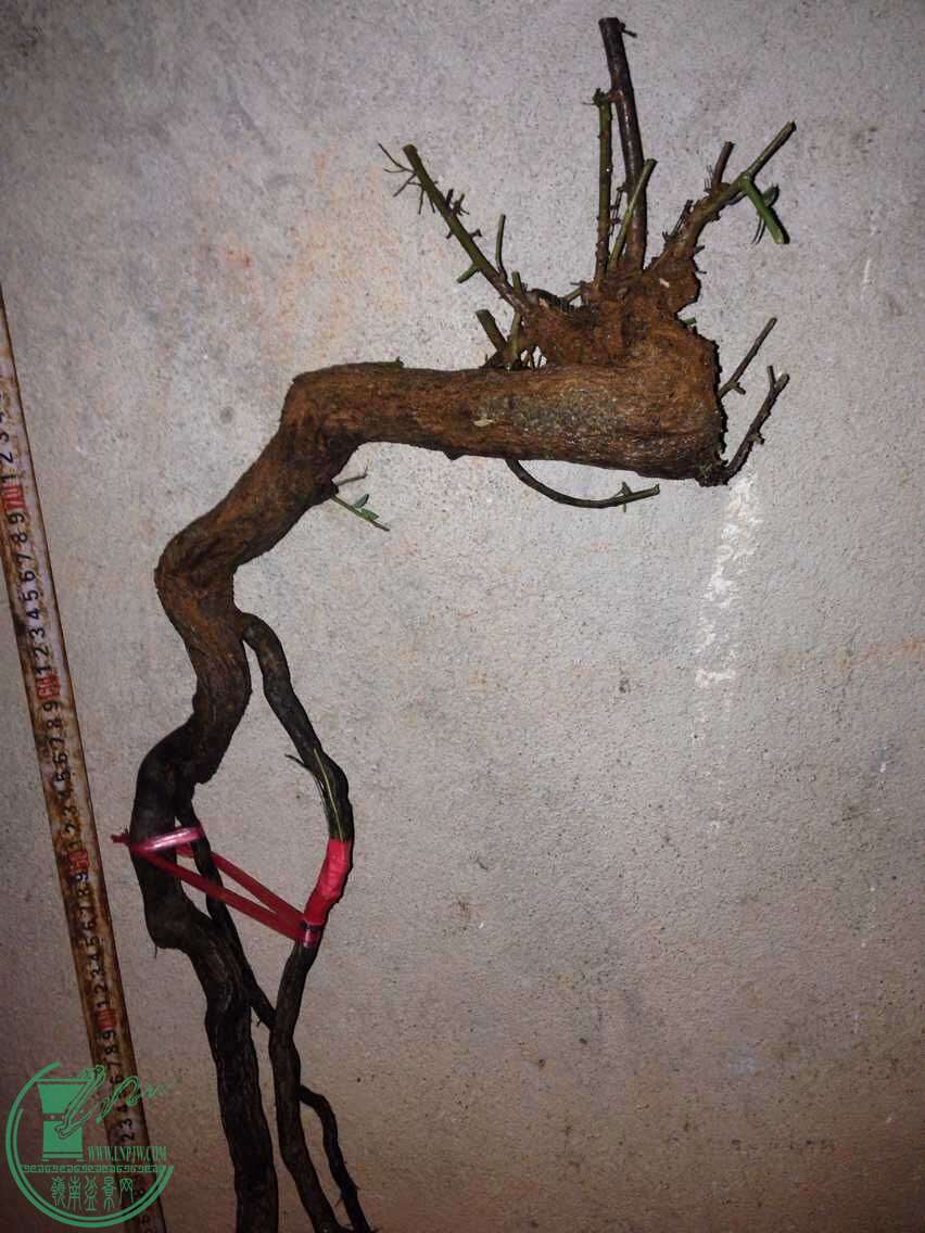 QQͼƬ20150822201513.jpg