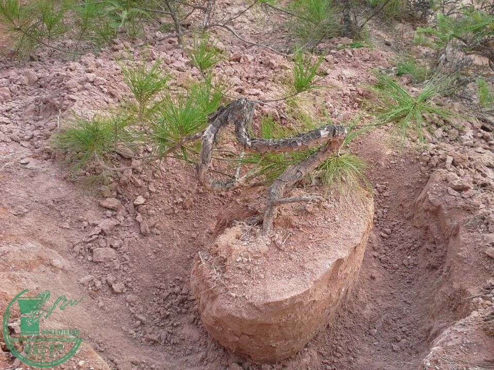 2015082315157.jpg