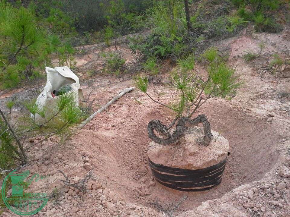 2015082315250.jpg